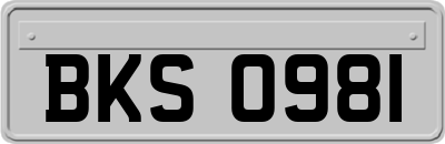 BKS0981