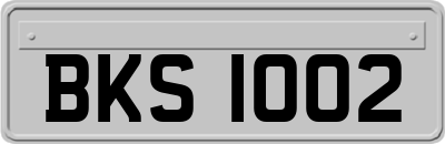BKS1002