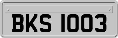 BKS1003