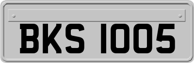 BKS1005