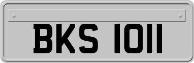 BKS1011