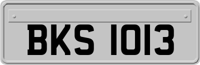 BKS1013