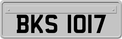BKS1017