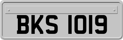 BKS1019