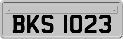 BKS1023