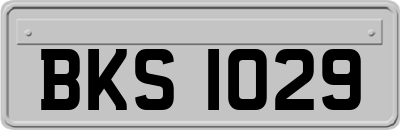 BKS1029