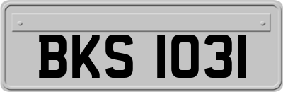 BKS1031