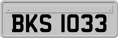 BKS1033