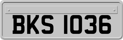 BKS1036