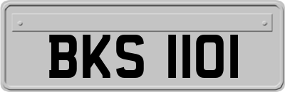 BKS1101