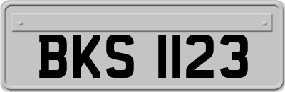 BKS1123