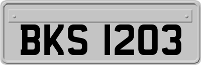 BKS1203