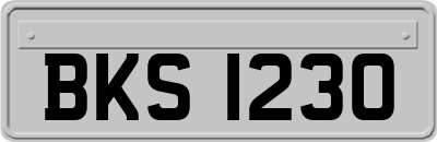 BKS1230