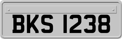 BKS1238