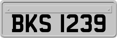 BKS1239