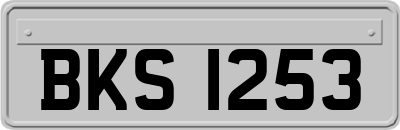 BKS1253