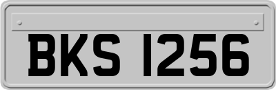 BKS1256