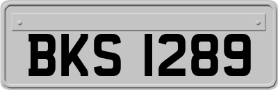 BKS1289
