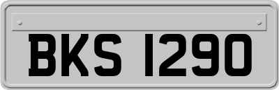 BKS1290