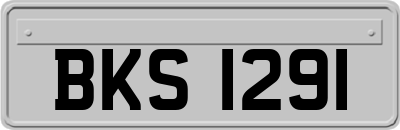 BKS1291