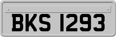 BKS1293
