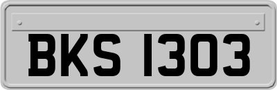 BKS1303