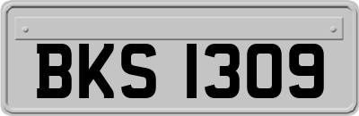 BKS1309