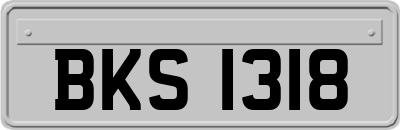 BKS1318