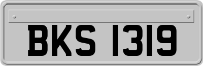 BKS1319