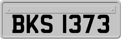 BKS1373