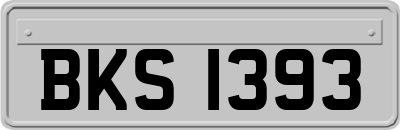 BKS1393