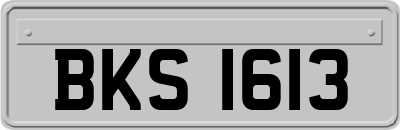 BKS1613