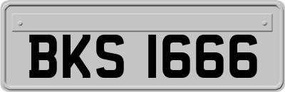 BKS1666