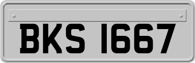 BKS1667