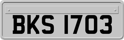 BKS1703