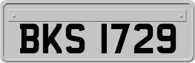 BKS1729