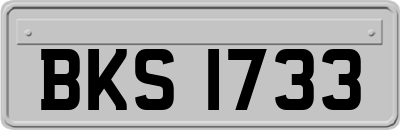 BKS1733