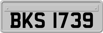 BKS1739
