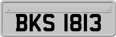 BKS1813