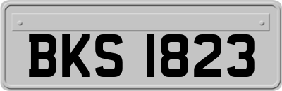 BKS1823