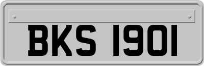 BKS1901