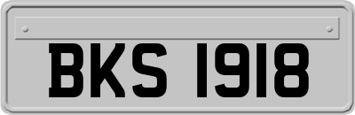 BKS1918
