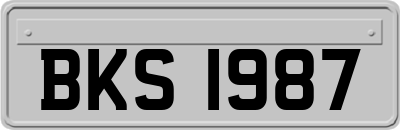 BKS1987