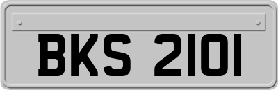 BKS2101