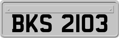 BKS2103