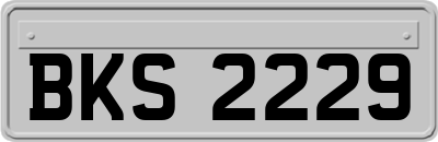 BKS2229