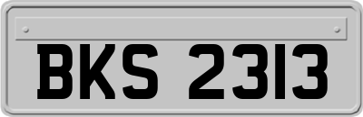 BKS2313