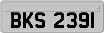 BKS2391