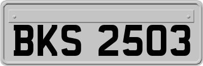 BKS2503