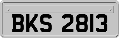 BKS2813